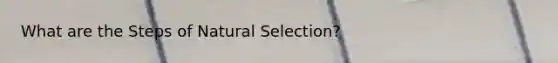 What are the Steps of Natural Selection?