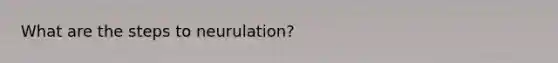 What are the steps to neurulation?