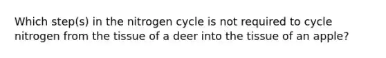 Which step(s) in the nitrogen cycle is not required to cycle nitrogen from the tissue of a deer into the tissue of an apple?