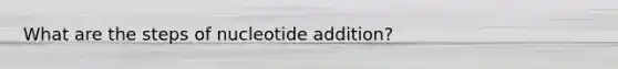 What are the steps of nucleotide addition?