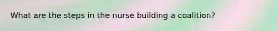 What are the steps in the nurse building a coalition?