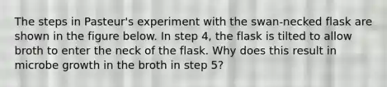 The steps in Pasteur's experiment with the swan-necked flask are shown in the figure below. In step 4, the flask is tilted to allow broth to enter the neck of the flask. Why does this result in microbe growth in the broth in step 5?