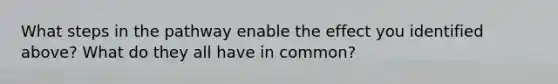 What steps in the pathway enable the effect you identified above? What do they all have in common?