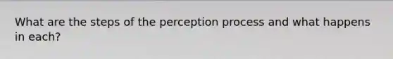 What are the steps of the perception process and what happens in each?