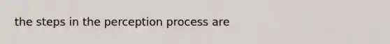 the steps in the perception process are