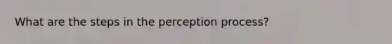 What are the steps in the perception process?