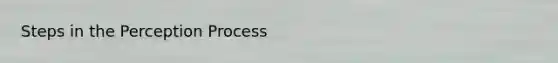 Steps in the Perception Process