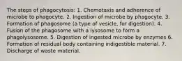 The steps of phagocytosis: 1. Chemotaxis and adherence of microbe to phagocyte. 2. Ingestion of microbe by phagocyte. 3. Formation of phagosome (a type of vesicle, for digestion). 4. Fusion of the phagosome with a lysosome to form a phagolysosome. 5. Digestion of ingested microbe by enzymes 6. Formation of residual body containing indigestible material. 7. Discharge of waste material.