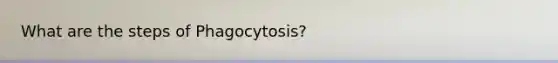 What are the steps of Phagocytosis?