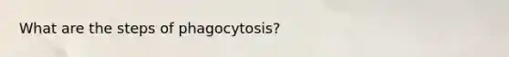 What are the steps of phagocytosis?