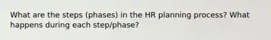 What are the steps (phases) in the HR planning process? What happens during each step/phase?