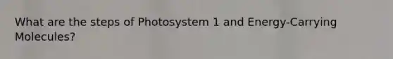 What are the steps of Photosystem 1 and Energy-Carrying Molecules?