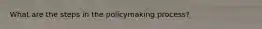 What are the steps in the policymaking process?