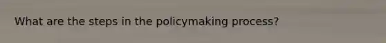 What are the steps in the policymaking process?