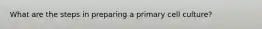 What are the steps in preparing a primary cell culture?