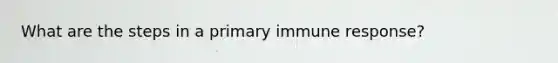 What are the steps in a primary immune response?