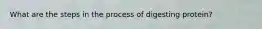 What are the steps in the process of digesting protein?