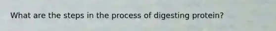 What are the steps in the process of digesting protein?