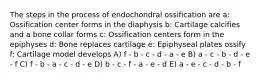 The steps in the process of endochondral ossification are a: Ossification center forms in the diaphysis b: Cartilage calcifies and a bone collar forms c: Ossification centers form in the epiphyses d: Bone replaces cartilage e: Epiphyseal plates ossify f: Cartilage model develops A) f - b - c - d - a - e B) a - c - b - d - e - f C) f - b - a - c - d - e D) b - c - f - a - e - d E) a - e - c - d - b - f