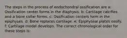 The steps in the process of endochondral ossification are a: Ossification center forms in the diaphysis. b: Cartilage calcifies and a bone collar forms. c: Ossification centers form in the epiphyses. d: Bone replaces cartilage. e: Epiphyseal plates ossify. f: Cartilage model develops. The correct chronological order for these steps is: