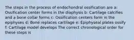 The steps in the process of endochondral ossification are a: Ossification center forms in the diaphysis b: Cartilage calcifies and a bone collar forms c: Ossification centers form in the epiphyses d: Bone replaces cartilage e: Epiphyseal plates ossify f: Cartilage model develops The correct chronological order for these steps is