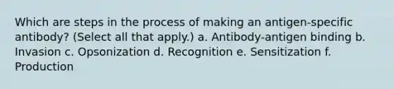 Which are steps in the process of making an antigen-specific antibody? (Select all that apply.) a. Antibody-antigen binding b. Invasion c. Opsonization d. Recognition e. Sensitization f. Production