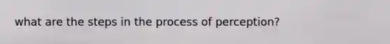 what are the steps in the process of perception?