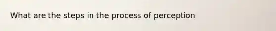 What are the steps in the process of perception