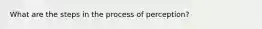 What are the steps in the process of perception?