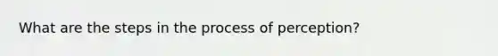 What are the <a href='https://www.questionai.com/knowledge/kDpD5U0VN8-steps-in-the-process' class='anchor-knowledge'>steps in the process</a> of perception?