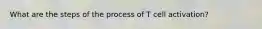 What are the steps of the process of T cell activation?