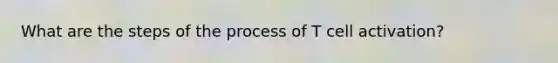 What are the steps of the process of T cell activation?