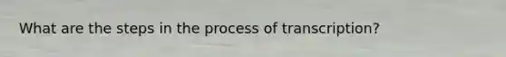 What are the steps in the process of transcription?