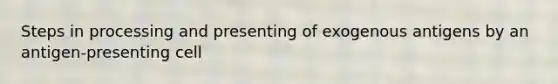 Steps in processing and presenting of exogenous antigens by an antigen-presenting cell