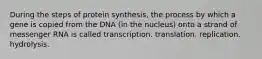 During the steps of protein synthesis, the process by which a gene is copied from the DNA (in the nucleus) onto a strand of messenger RNA is called transcription. ﻿﻿﻿translation. ﻿﻿﻿replication. ﻿﻿﻿hydrolysis.