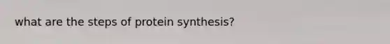 what are the steps of protein synthesis?