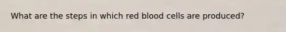 What are the steps in which red blood cells are produced?