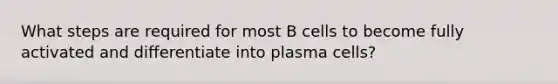 What steps are required for most B cells to become fully activated and differentiate into plasma cells?