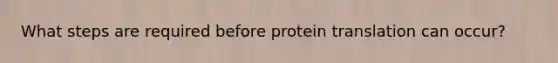 What steps are required before protein translation can occur?