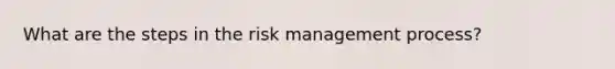 What are the steps in the risk management process?