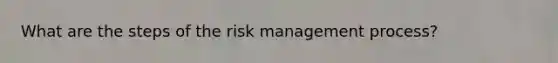 What are the steps of the risk management process?