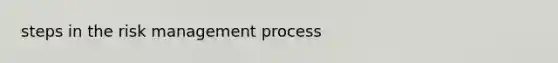 steps in the risk management process