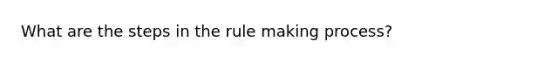 What are the steps in the rule making process?