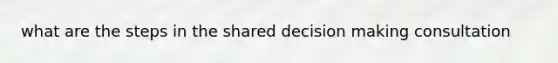 what are the steps in the shared <a href='https://www.questionai.com/knowledge/kuI1pP196d-decision-making' class='anchor-knowledge'>decision making</a> consultation