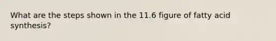 What are the steps shown in the 11.6 figure of fatty acid synthesis?