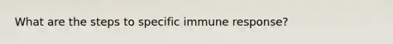 What are the steps to specific immune response?