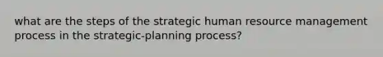 what are the steps of the strategic human resource management process in the strategic-planning process?