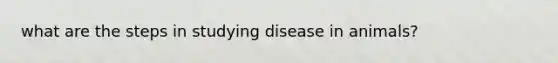 what are the steps in studying disease in animals?