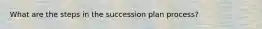 What are the steps in the succession plan process?