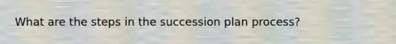 What are the steps in the succession plan process?